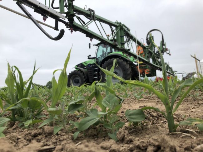 Pflanzenschutzmittel-Einsatz 2023 erneut reduziert