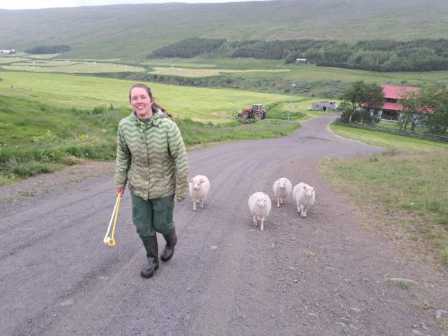 Stiftung schickt junge Menschen in die Welt hinaus