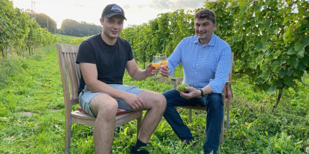 Niedersachsens Weinanbauer sind mit Lese zufrieden