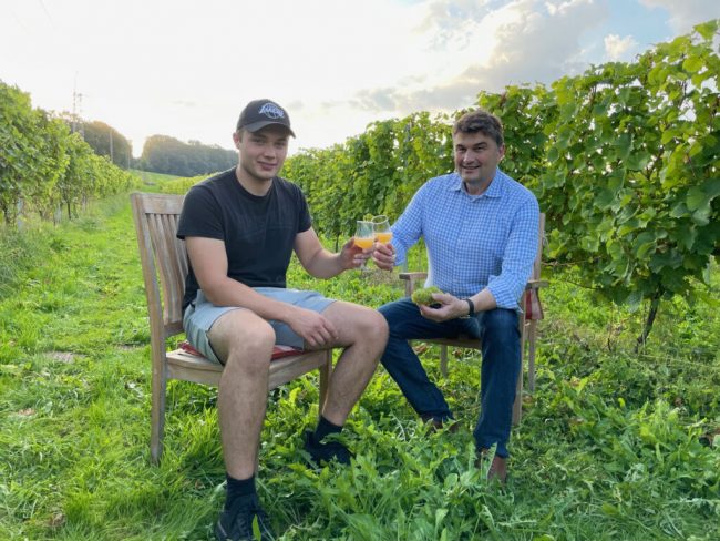 Niedersachsens Weinanbauer sind mit Lese zufrieden