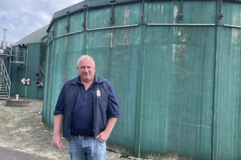 „Wenn die Sonne scheint, sinkt der Strompreis“