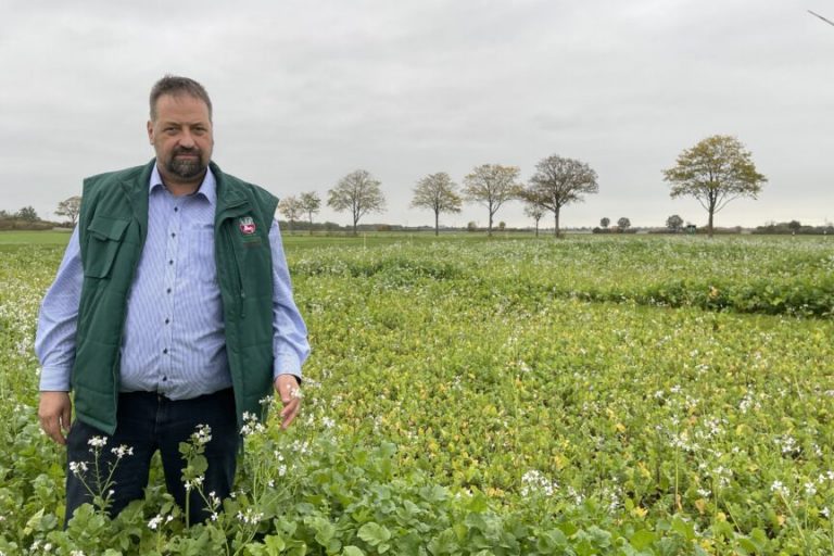Hennies fordert: Erleichterungen für Landwirte sofort