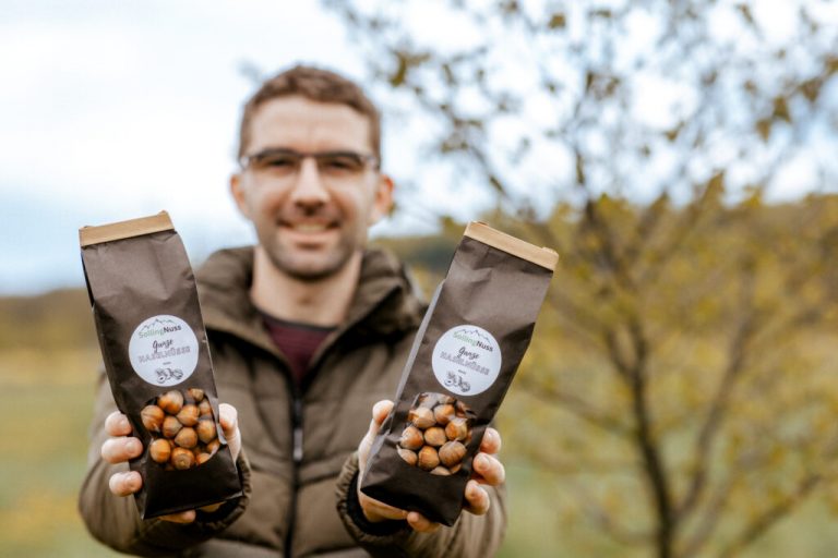 Haselnuss-Ernte 2024 brachte nur den halben Ertrag