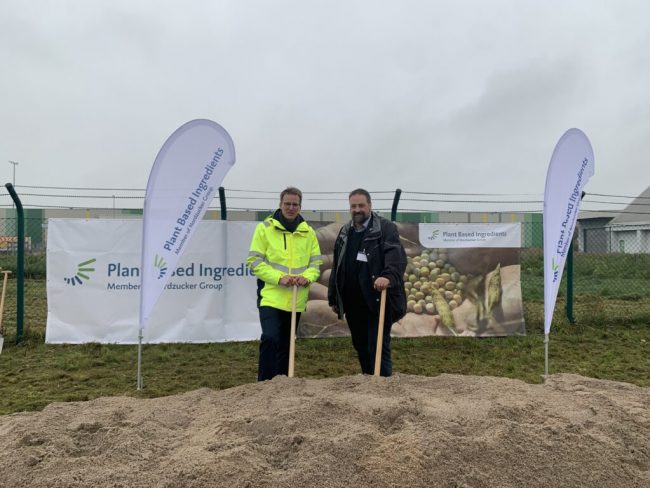 Niedersachsens Landwirte setzen nun auch auf Erbsen