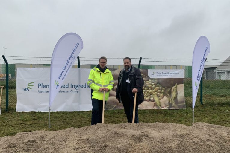 Niedersachsens Landwirte setzen nun auch auf Erbsen