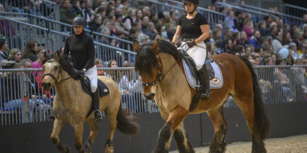 Aus „Pferd & Jagd“ wird „Passion Pferd“