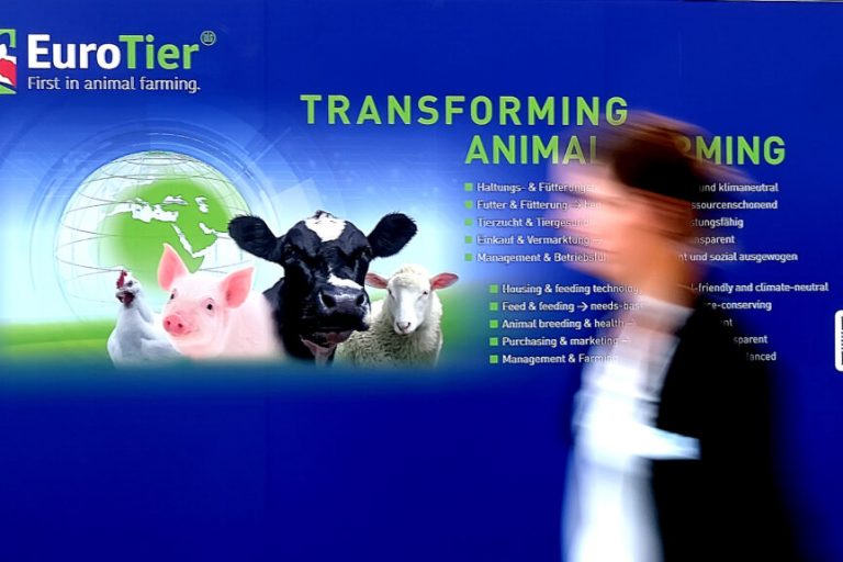 EuroTier: Digitalisierung, Tierwohl und Klimatechnik