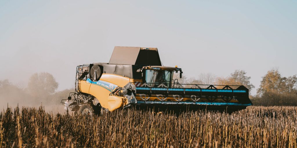 Niedersachsens Landwirte erzielen gute Sonnenblumenernte