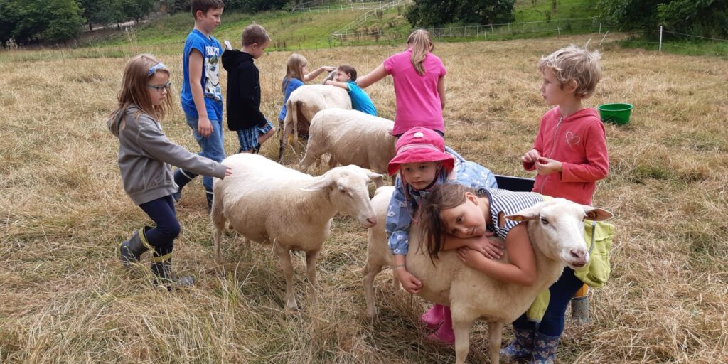 20 Jahre Internationaler Schulbauernhof Hardegsen