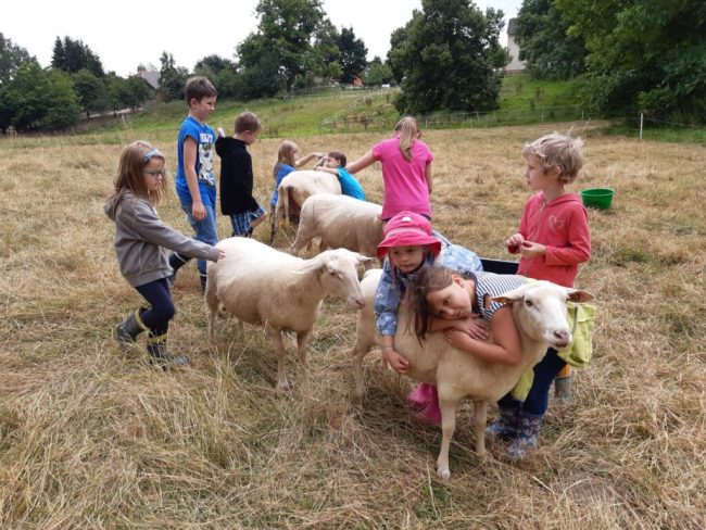 20 Jahre Internationaler Schulbauernhof Hardegsen