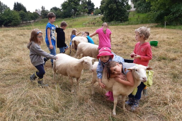 20 Jahre Internationaler Schulbauernhof Hardegsen