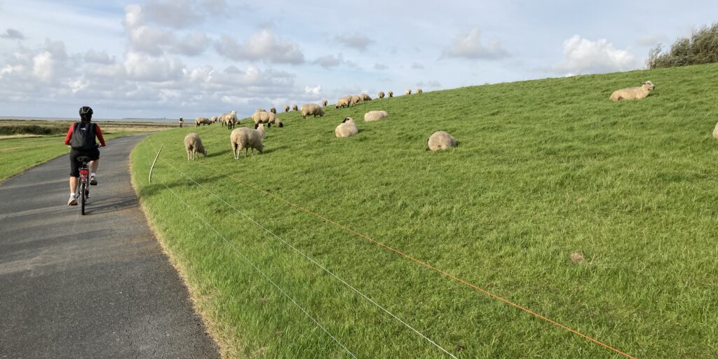 Landvolk: Härten bei Deichgesetz-Reform abwenden