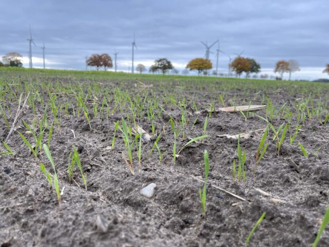 „Frostgare“ hat vielerorts die Böden aufgelockert