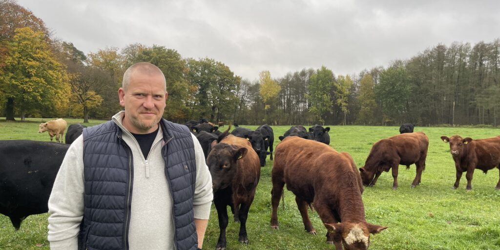 In Niedersachsen setzen Landwirte weiter auf „bio“