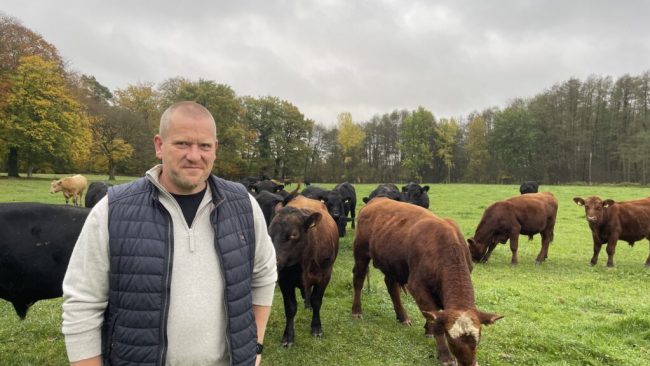 In Niedersachsen setzen Landwirte weiter auf „bio“
