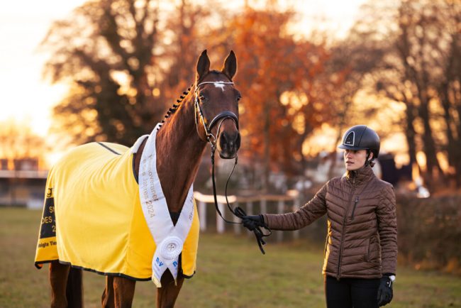 „Die besten Stuten gehören in die Zucht“