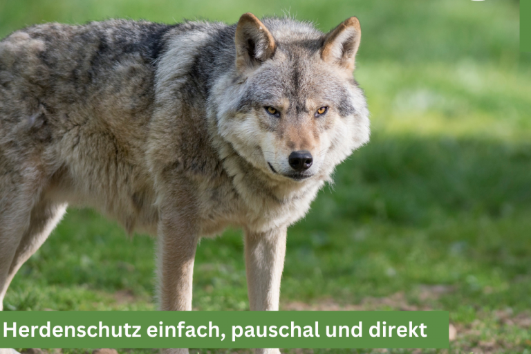 Herdenschutz einfach, pauschal und direkt