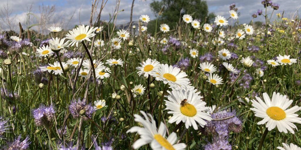 Tagung zur Transformation in der Landwirtschaft