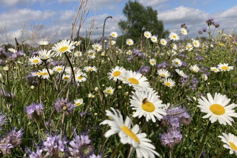 Tagung zur Transformation in der Landwirtschaft