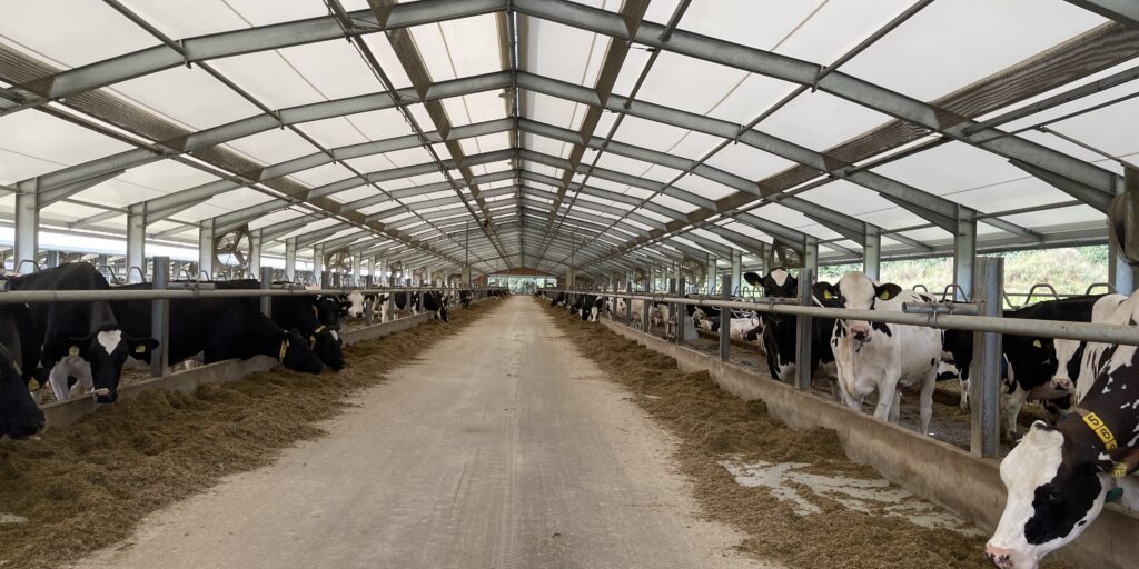 Landvolk: Deutlich weniger Milch in Niedersachsen