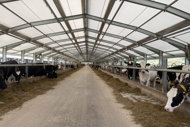 Landvolk: Deutlich weniger Milch in Niedersachsen