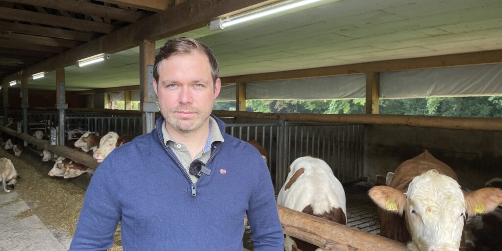 Mehr Biosicherheit in Rinder haltenden Betrieben