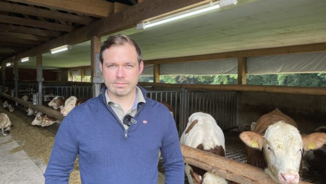 Mehr Biosicherheit in Rinder haltenden Betrieben