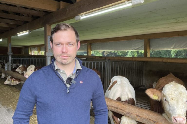 Mehr Biosicherheit in Rinder haltenden Betrieben