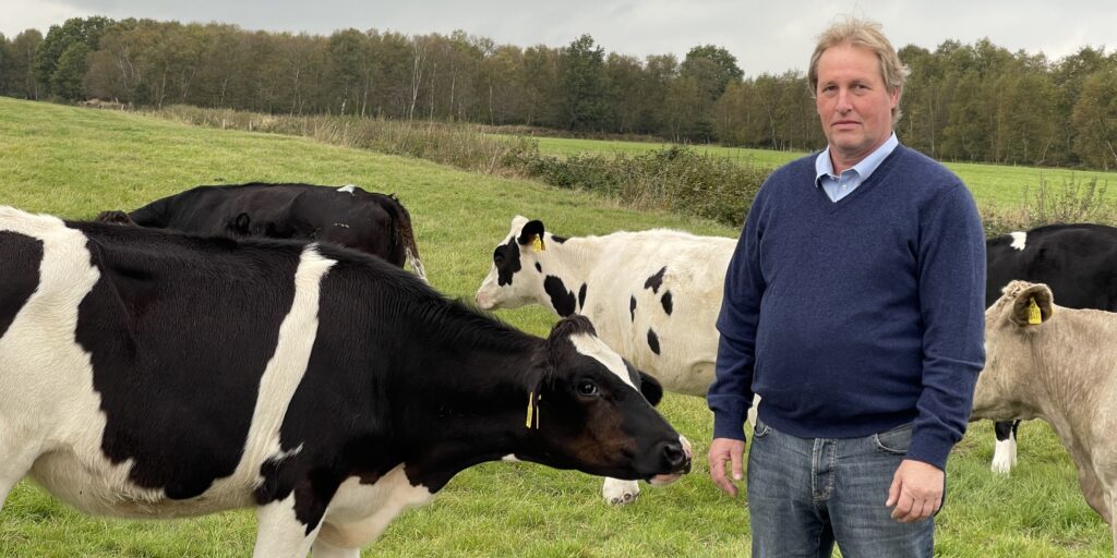 Gras ist der Schlüssel zu hochwertigem Futter für Kühe