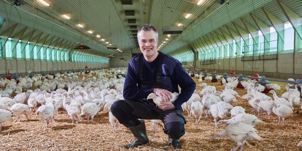 Geflügelhaltung vereint Tierwohl und Klimaschutz