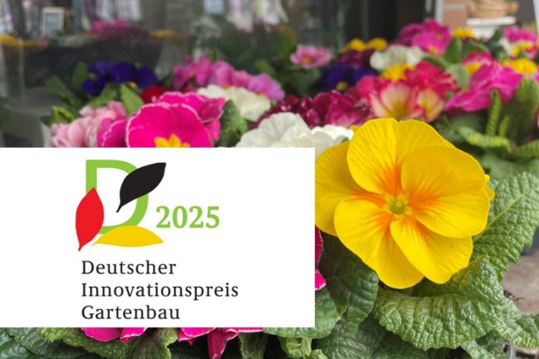 „Lernen darf auch Spaß machen!“