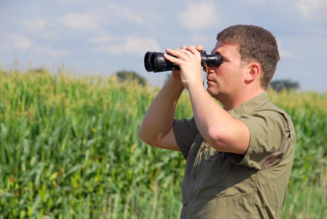 Mit Passion für die Welt des Wildes in Wald und Feld