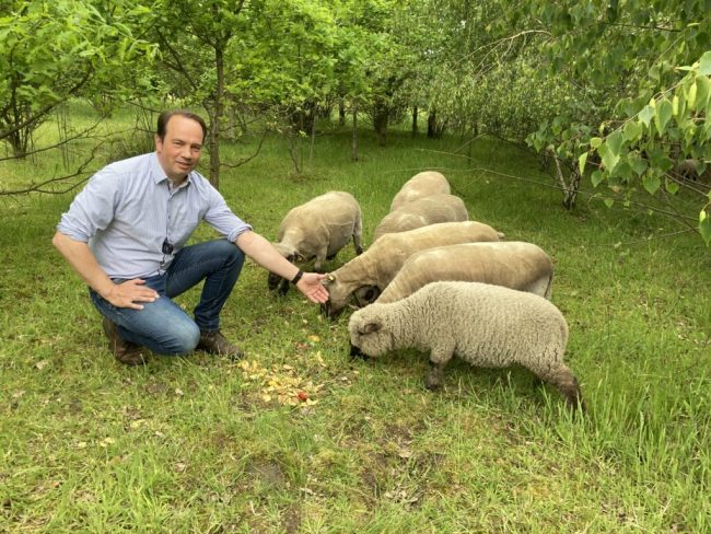 Ehlers: Land muss vorbereitend tätig werden