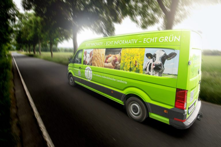 Wie viel Platz braucht ein Schwein?