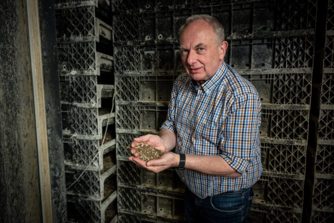 Insektenmast als Chance für die Landwirtschaft?