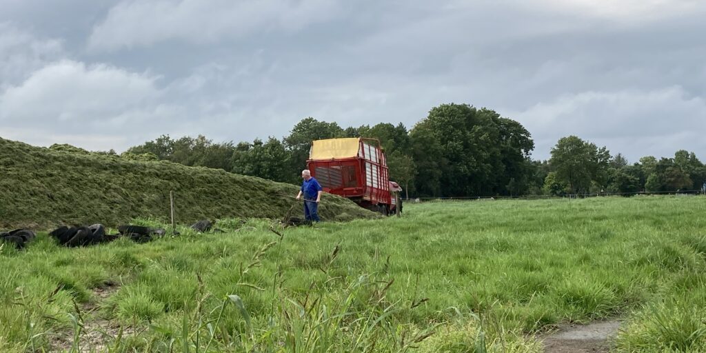 Früher erster Schnitt sorgt für hochwertige Silage in Niedersachsen