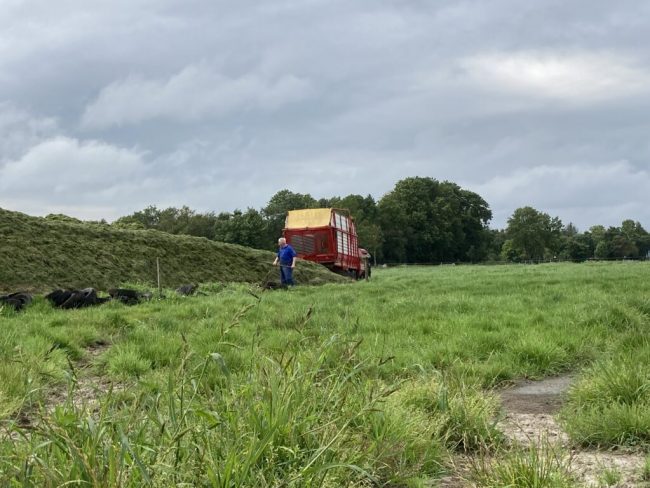 Früher erster Schnitt sorgt für hochwertige Silage in Niedersachsen
