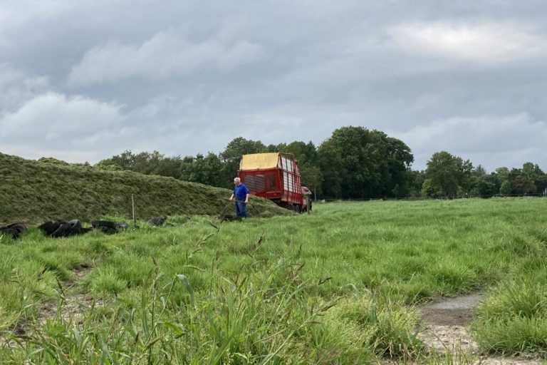 Früher erster Schnitt sorgt für hochwertige Silage in Niedersachsen