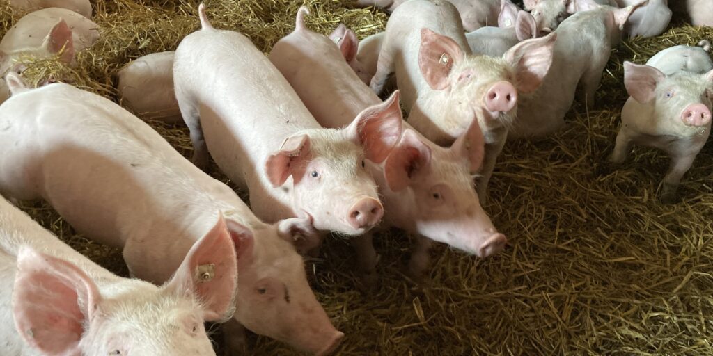 Im ASP-Krisenfall wirkungsvoll kommunizieren