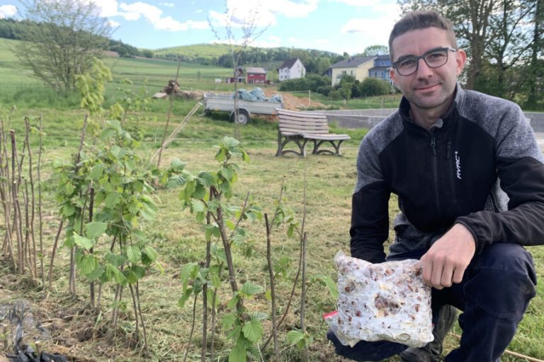 Wenn aus Nüssen Pilze werden