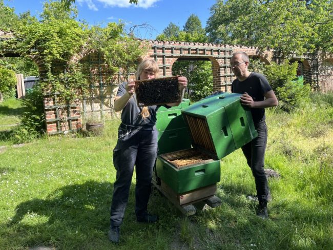 Imkerausbildung: Mit Schutzanzug und Leidenschaft