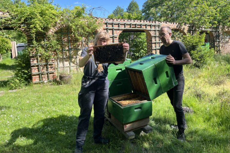 Imkerausbildung: Mit Schutzanzug und Leidenschaft