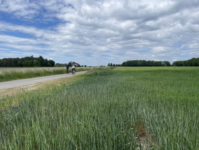 Tagesausflugstipp: Radtouren mit Landluft verbinden