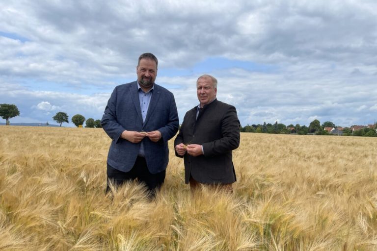 Getreidequalität bereitet Landvolk Sorgen: Regen allein reicht nicht