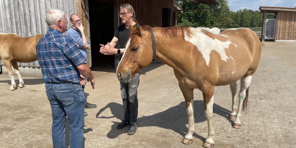 Fokus Pferd: Tierwohl wird auf vielen Wegen erreicht
