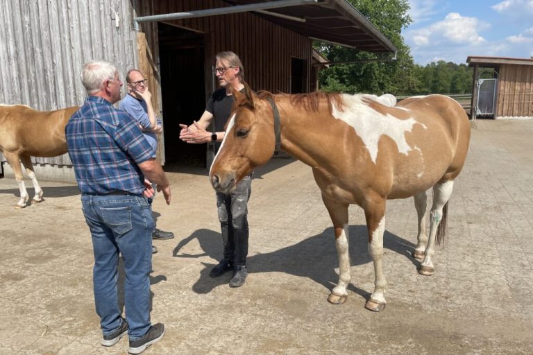 Fokus Pferd: Tierwohl wird auf vielen Wegen erreicht