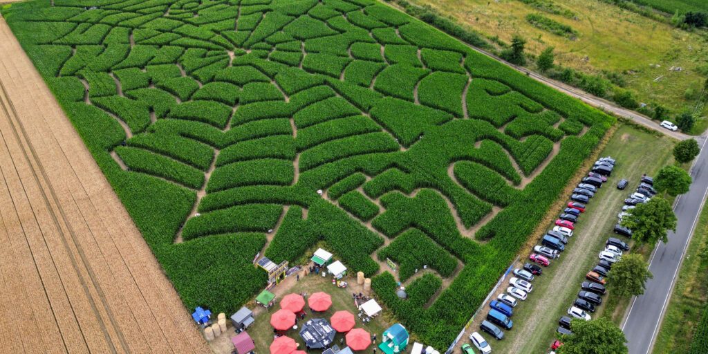 Maislabyrinthe: Niedersachsens Landwirte schaffen Erlebniswelten