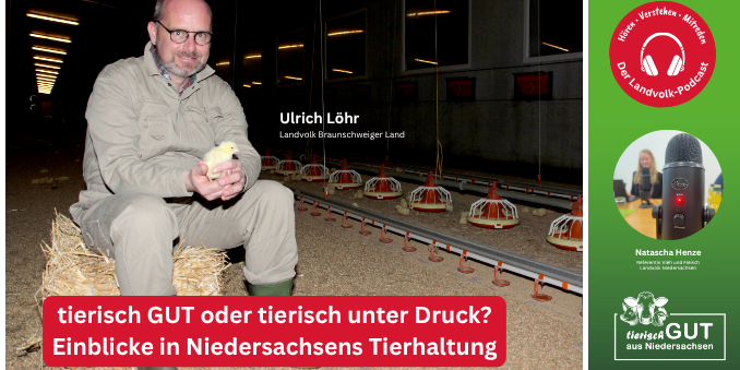 Tierhaltung in Niedersachsen steht am Scheideweg