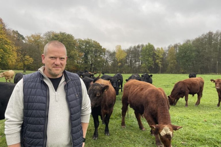 Enormer Kontrollaufwand schreckt Biobauern ab