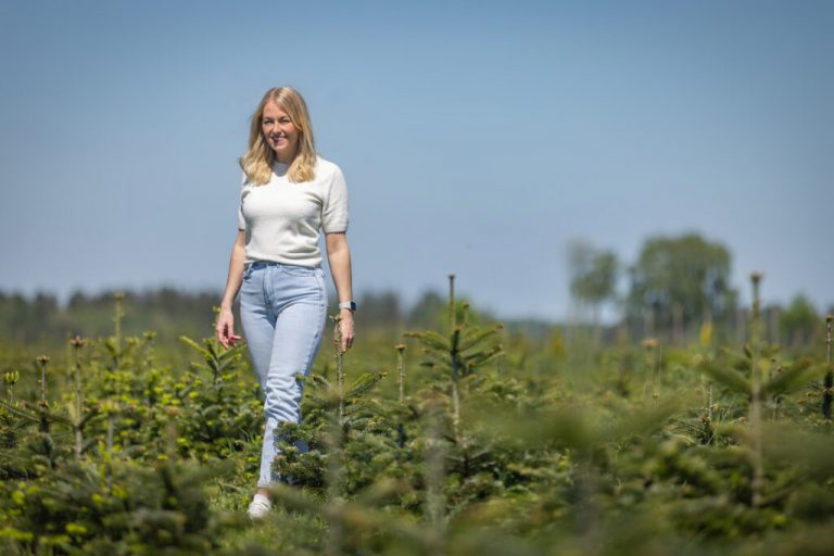 Erlebnishof: Mit Tannenduft durchs ganze Jahr